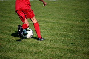 678体育app下载-内线球员在快节奏体系下的功能性演变，内线球员的主要作用  第1张